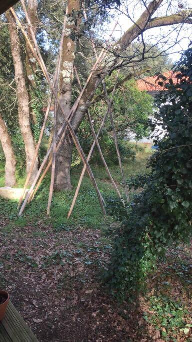Ma Cabane Sous Les Arbres Soulac-sur-Mer Exterior foto